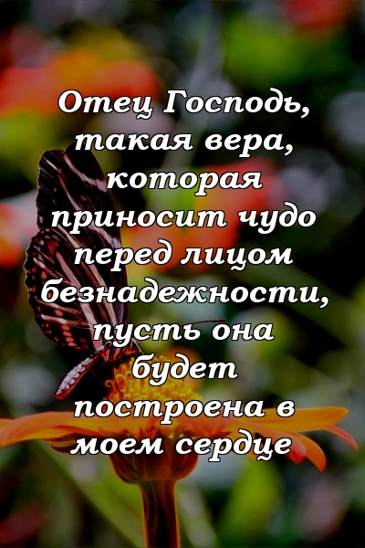 Отец Господь, такая вера, которая приносит чудо перед лицом безнадежности, пусть она будет построена в моем сердце