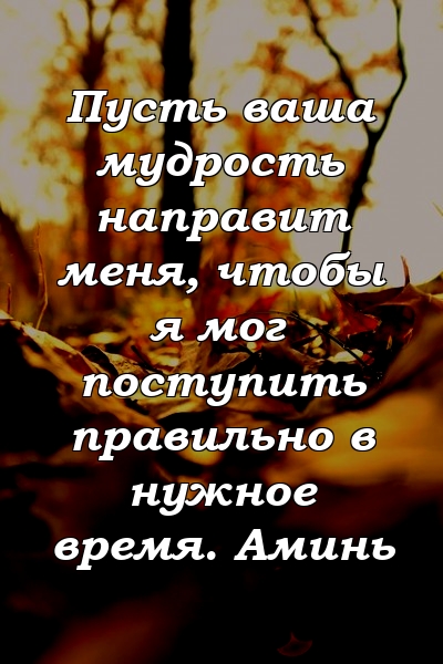 Пусть ваша мудрость направит меня, чтобы я мог поступить правильно в нужное время. Аминь