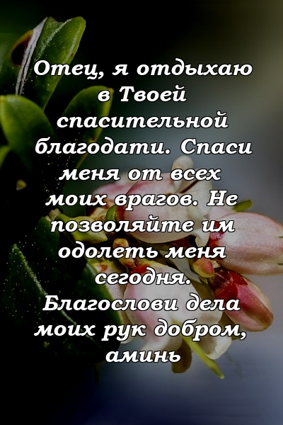 Отец, я отдыхаю в Твоей спасительной благодати. Спаси меня от всех моих врагов. Не позволяйте им одолеть меня сегодня. Благослови дела моих рук добром, аминь