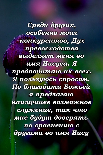 Среди других, особенно моих конкурентов, Дух превосходства выделяет меня во имя Иисуса. Я предпочитаю их всех. Я пользуюсь спросом. По благодати Божьей я предлагаю наилучшее возможное служение, так что мне будут доверять по сравнению с другими во имя Иису