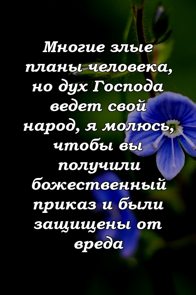 Многие злые планы человека, но дух Господа ведет свой народ, я молюсь, чтобы вы получили божественный приказ и были защищены от вреда