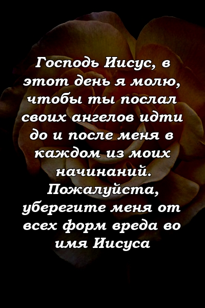 Господь Иисус, в этот день я молю, чтобы ты послал своих ангелов идти до и после меня в каждом из моих начинаний. Пожалуйста, уберегите меня от всех форм вреда во имя Иисуса