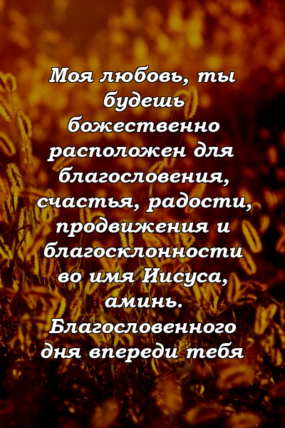 Моя любовь, ты будешь божественно расположен для благословения, счастья, радости, продвижения и благосклонности во имя Иисуса, аминь. Благословенного дня впереди тебя