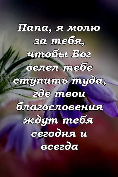 Папа, я молю за тебя, чтобы Бог велел тебе ступить туда, где твои благословения ждут тебя сегодня и всегда