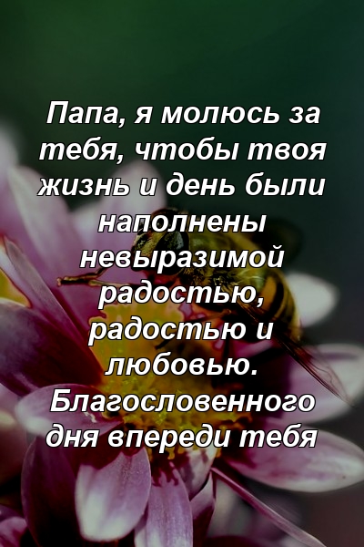 Папа, я молюсь за тебя, чтобы твоя жизнь и день были наполнены невыразимой радостью, радостью и любовью. Благословенного дня впереди тебя