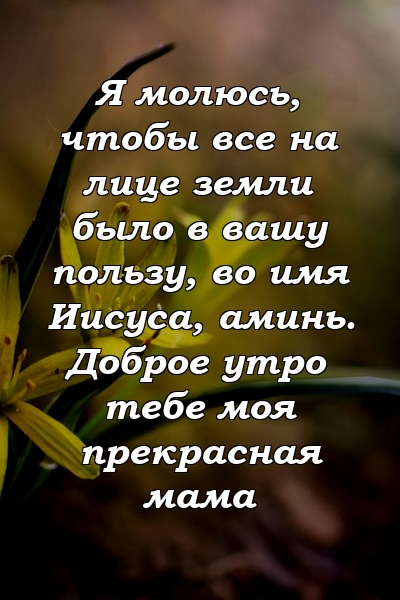 Я молюсь, чтобы все на лице земли было в вашу пользу, во имя Иисуса, аминь. Доброе утро тебе моя прекрасная мама