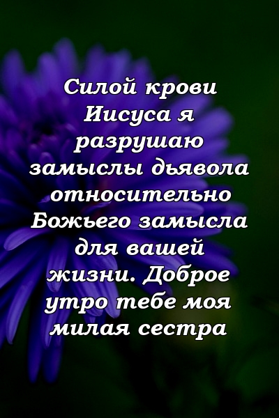 Силой крови Иисуса я разрушаю замыслы дьявола относительно Божьего замысла для вашей жизни. Доброе утро тебе моя милая сестра