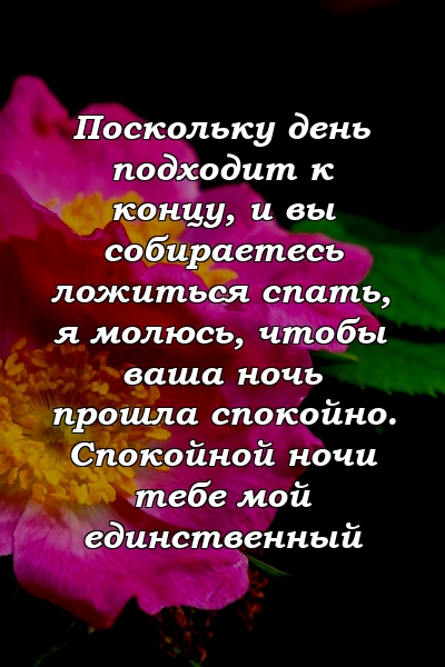 Поскольку день подходит к концу, и вы собираетесь ложиться спать, я молюсь, чтобы ваша ночь прошла спокойно. Спокойной ночи тебе мой единственный