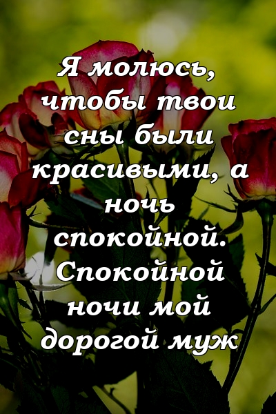 Я молюсь, чтобы твои сны были красивыми, а ночь спокойной. Спокойной ночи мой дорогой муж