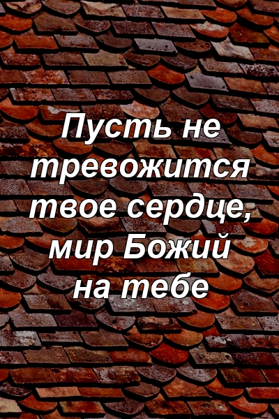 Пусть не тревожится твое сердце, мир Божий на тебе