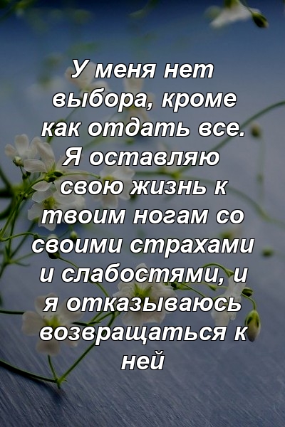 У меня нет выбора, кроме как отдать все. Я оставляю свою жизнь к твоим ногам со своими страхами и слабостями, и я отказываюсь возвращаться к ней