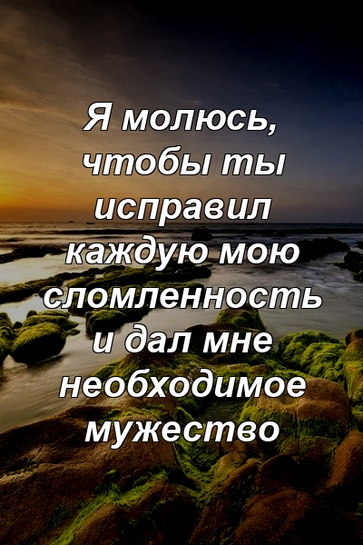 Я молюсь, чтобы ты исправил каждую мою сломленность и дал мне необходимое мужество