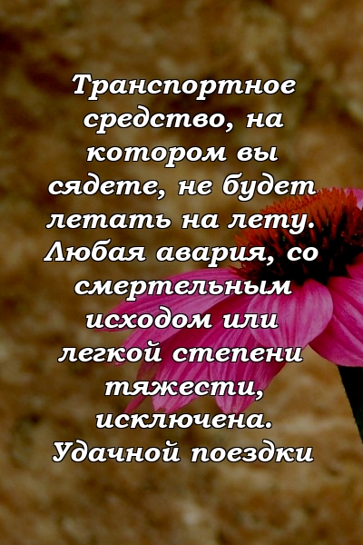 Транспортное средство, на котором вы сядете, не будет летать на лету. Любая авария, со смертельным исходом или легкой степени тяжести, исключена. Удачной поездки