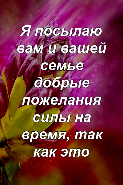 Я посылаю вам и вашей семье добрые пожелания силы на время, так как это