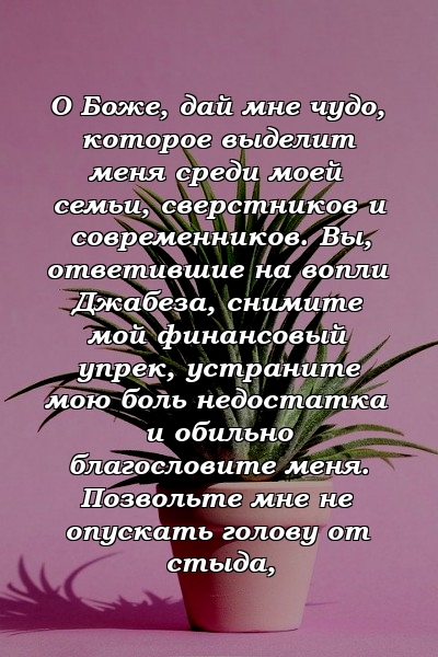 О Боже, дай мне чудо, которое выделит меня среди моей семьи, сверстников и современников. Вы, ответившие на вопли Джабеза, снимите мой финансовый упрек, устраните мою боль недостатка и обильно благословите меня. Позвольте мне не опускать голову от стыда, 