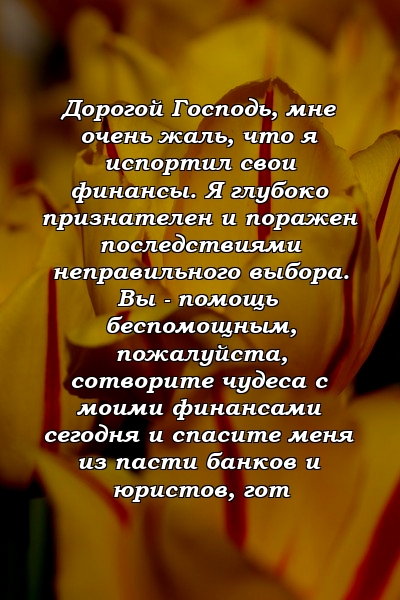 Дорогой Господь, мне очень жаль, что я испортил свои финансы. Я глубоко признателен и поражен последствиями неправильного выбора. Вы - помощь беспомощным, пожалуйста, сотворите чудеса с моими финансами сегодня и спасите меня из пасти банков и юристов, гот