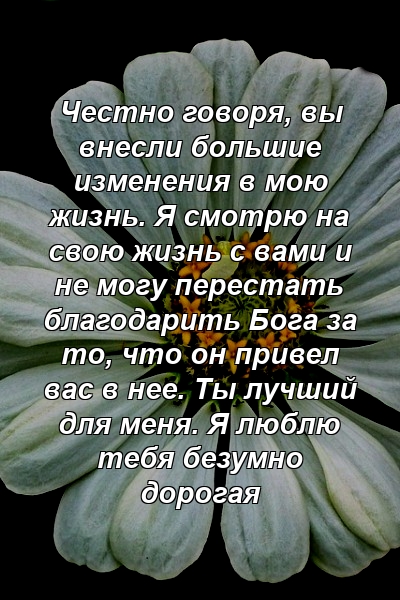 Честно говоря, вы внесли большие изменения в мою жизнь. Я смотрю на свою жизнь с вами и не могу перестать благодарить Бога за то, что он привел вас в нее. Ты лучший для меня. Я люблю тебя безумно дорогая