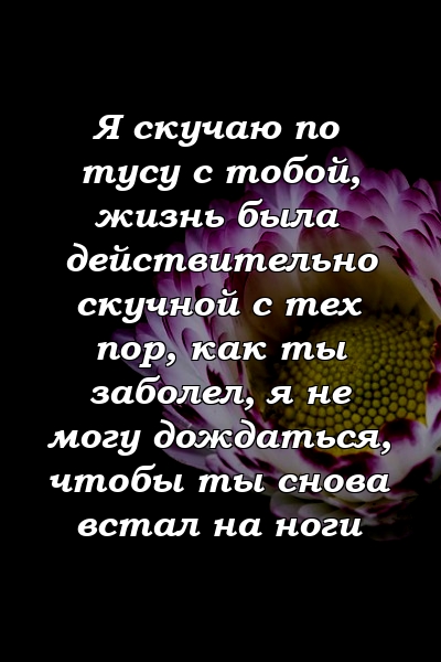 Я скучаю по тусу с тобой, жизнь была действительно скучной с тех пор, как ты заболел, я не могу дождаться, чтобы ты снова встал на ноги