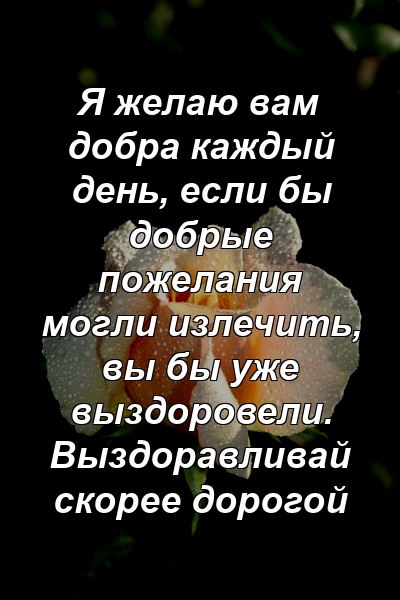 Я желаю вам добра каждый день, если бы добрые пожелания могли излечить, вы бы уже выздоровели. Выздоравливай скорее дорогой