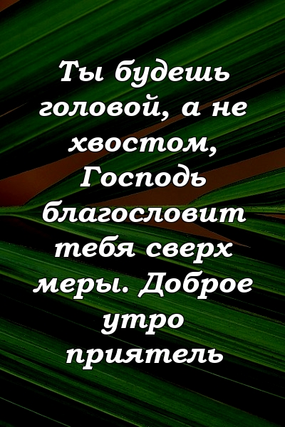 Ты будешь головой, а не хвостом, Господь благословит тебя сверх меры. Доброе утро приятель