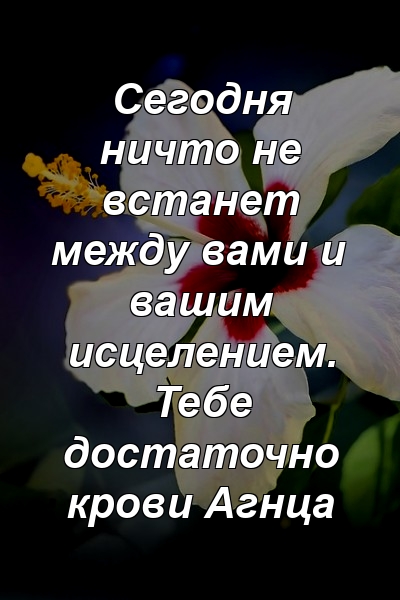 Сегодня ничто не встанет между вами и вашим исцелением. Тебе достаточно крови Агнца