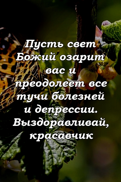 Пусть свет Божий озарит вас и преодолеет все тучи болезней и депрессии. Выздоравливай, красавчик