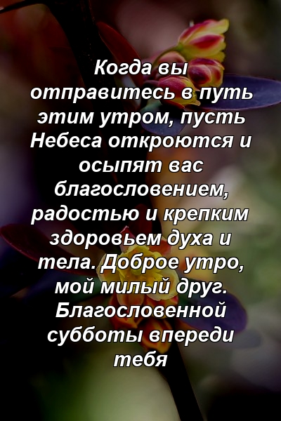 Когда вы отправитесь в путь этим утром, пусть Небеса откроются и осыпят вас благословением, радостью и крепким здоровьем духа и тела. Доброе утро, мой милый друг. Благословенной субботы впереди тебя