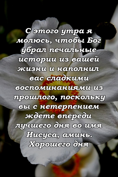 С этого утра я молюсь, чтобы Бог убрал печальные истории из вашей жизни и наполнил вас сладкими воспоминаниями из прошлого, поскольку вы с нетерпением ждете впереди лучшего дня во имя Иисуса, аминь. Хорошего дня