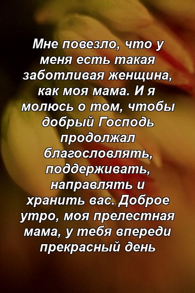 Мне повезло, что у меня есть такая заботливая женщина, как моя мама. И я молюсь о том, чтобы добрый Господь продолжал благословлять, поддерживать, направлять и хранить вас. Доброе утро, моя прелестная мама, у тебя впереди прекрасный день