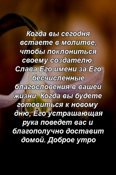 Когда вы сегодня встаете в молитве, чтобы поклониться своему создателю. Слава Его имени за Его бесчисленные благословения в вашей жизни. Когда вы будете готовиться к новому дню, Его устрашающая рука поведет вас и благополучно доставит домой. Доброе утро