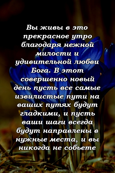 Вы живы в это прекрасное утро благодаря нежной милости и удивительной любви Бога. В этот совершенно новый день пусть все самые извилистые пути на ваших путях будут гладкими, и пусть ваши шаги всегда будут направлены в нужные места, и вы никогда не собьете