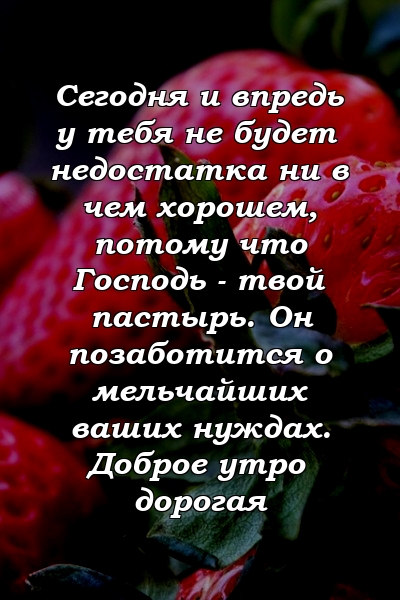 Сегодня и впредь у тебя не будет недостатка ни в чем хорошем, потому что Господь - твой пастырь. Он позаботится о мельчайших ваших нуждах. Доброе утро дорогая