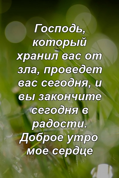 Господь, который хранил вас от зла, проведет вас сегодня, и вы закончите сегодня в радости. Доброе утро мое сердце