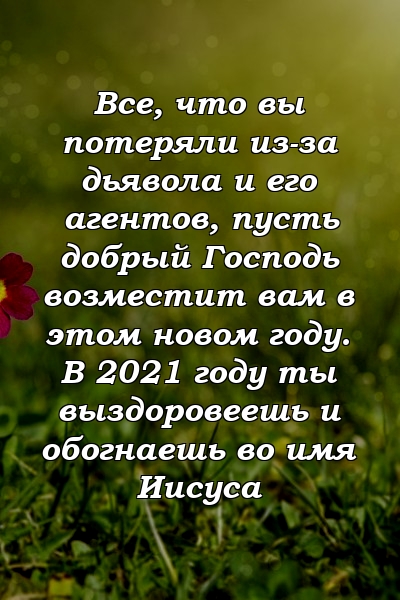 Все, что вы потеряли из-за дьявола и его агентов, пусть добрый Господь возместит вам в этом новом году. В 2021 году ты выздоровеешь и обогнаешь во имя Иисуса