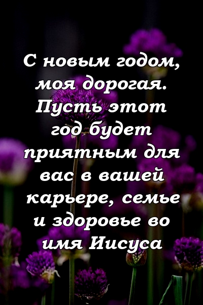 С новым годом, моя дорогая. Пусть этот год будет приятным для вас в вашей карьере, семье и здоровье во имя Иисуса