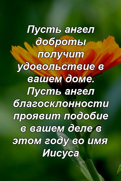 Пусть ангел доброты получит удовольствие в вашем доме. Пусть ангел благосклонности проявит подобие в вашем деле в этом году во имя Иисуса