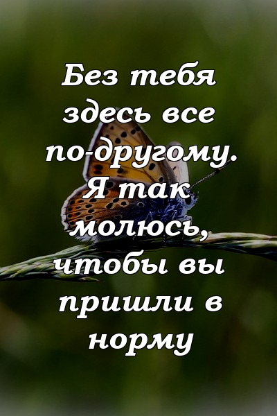 Без тебя здесь все по-другому. Я так молюсь, чтобы вы пришли в норму