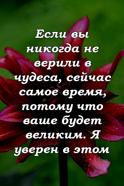 Если вы никогда не верили в чудеса, сейчас самое время, потому что ваше будет великим. Я уверен в этом