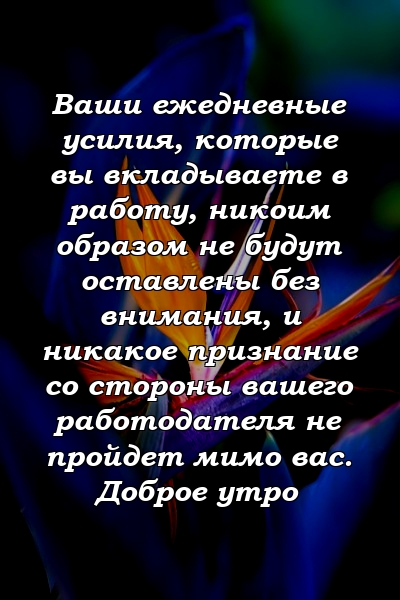 Ваши ежедневные усилия, которые вы вкладываете в работу, никоим образом не будут оставлены без внимания, и никакое признание со стороны вашего работодателя не пройдет мимо вас. Доброе утро