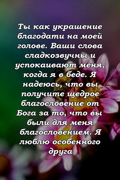 Ты как украшение благодати на моей голове. Ваши слова сладкозвучны и успокаивают меня, когда я в беде. Я надеюсь, что вы получите щедрое благословение от Бога за то, что вы были для меня благословением. Я люблю особенного друга