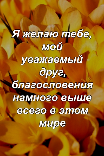 Я желаю тебе, мой уважаемый друг, благословения намного выше всего в этом мире