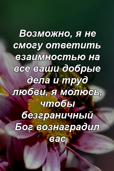 Возможно, я не смогу ответить взаимностью на все ваши добрые дела и труд любви, я молюсь, чтобы безграничный Бог вознаградил вас