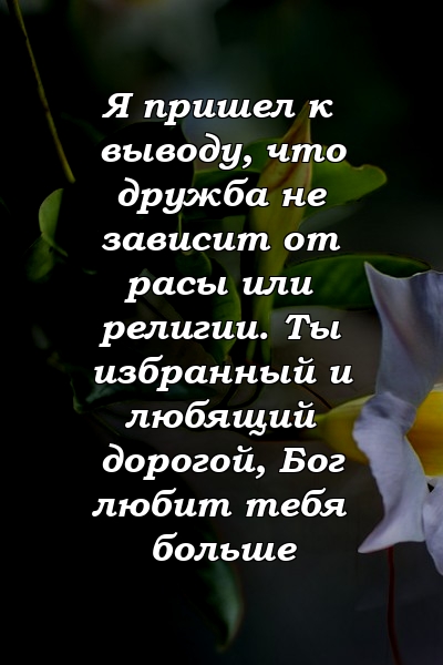 Я пришел к выводу, что дружба не зависит от расы или религии. Ты избранный и любящий дорогой, Бог любит тебя больше