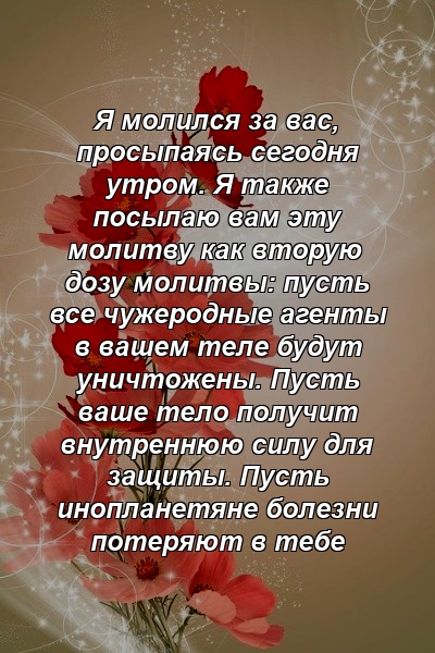 Я молился за вас, просыпаясь сегодня утром. Я также посылаю вам эту молитву как вторую дозу молитвы: пусть все чужеродные агенты в вашем теле будут уничтожены. Пусть ваше тело получит внутреннюю силу для защиты. Пусть инопланетяне болезни потеряют в тебе 