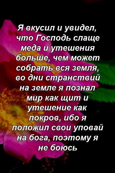 Я вкусил и увидел, что Господь слаще меда и утешения больше, чем может собрать вся земля, во дни странствий на земле я познал мир как щит и утешение как покров, ибо я положил свои уповай на бога, поэтому я не боюсь