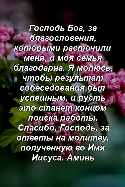 Господь Бог, за благословения, которыми расточили меня, и моя семья благодарна. Я молюсь, чтобы результат собеседования был успешным, и пусть это станет концом поиска работы. Спасибо, Господь, за ответы на молитву, полученную во Имя Иисуса. Аминь