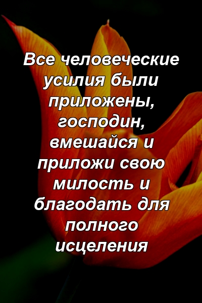 Все человеческие усилия были приложены, господин, вмешайся и приложи свою милость и благодать для полного исцеления