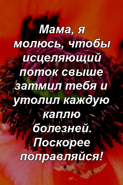 Мама, я молюсь, чтобы исцеляющий поток свыше затмил тебя и утолил каждую каплю болезней. Поскорее поправляйся!