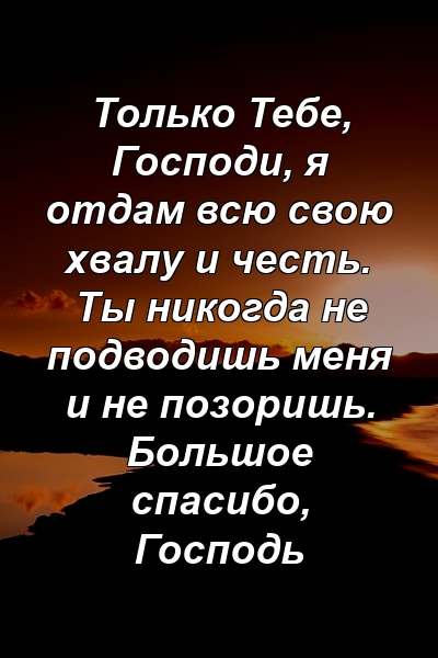 Только Тебе, Господи, я отдам всю свою хвалу и честь. Ты никогда не подводишь меня и не позоришь. Большое спасибо, Господь