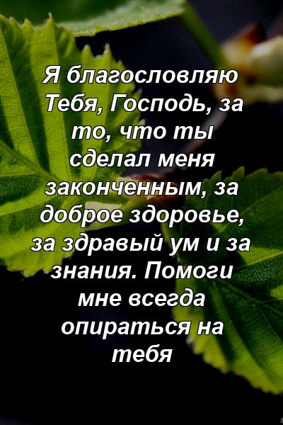 Я благословляю Тебя, Господь, за то, что ты сделал меня законченным, за доброе здоровье, за здравый ум и за знания. Помоги мне всегда опираться на тебя